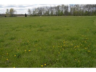 Property photo 92 - Real Estate & Personal Property Auction, Country Home, Building Sites, Pond